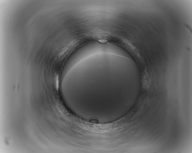 X0000101230027200807071422