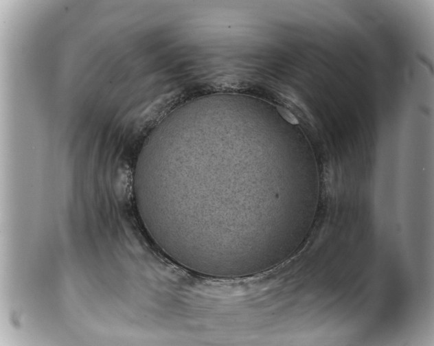 X0000101230029200807071422