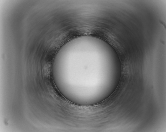 X0000101230030200807071422