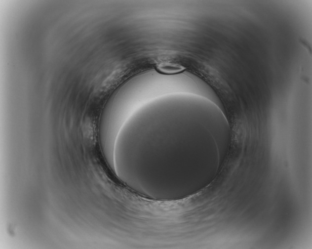 X0000101230031200807071422