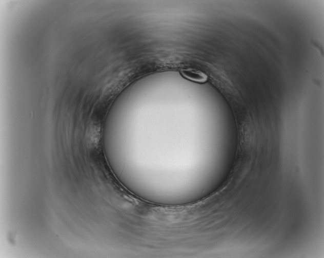 X0000101230033200807071422