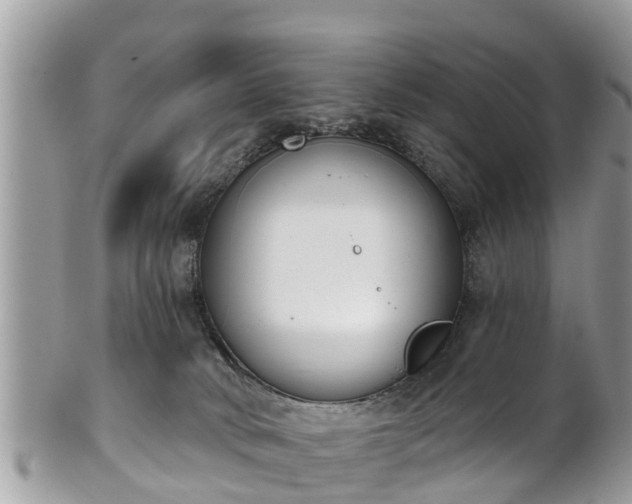 X0000101230034200807071422