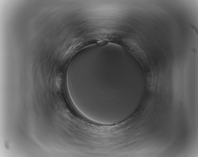 X0000101230035200807071422