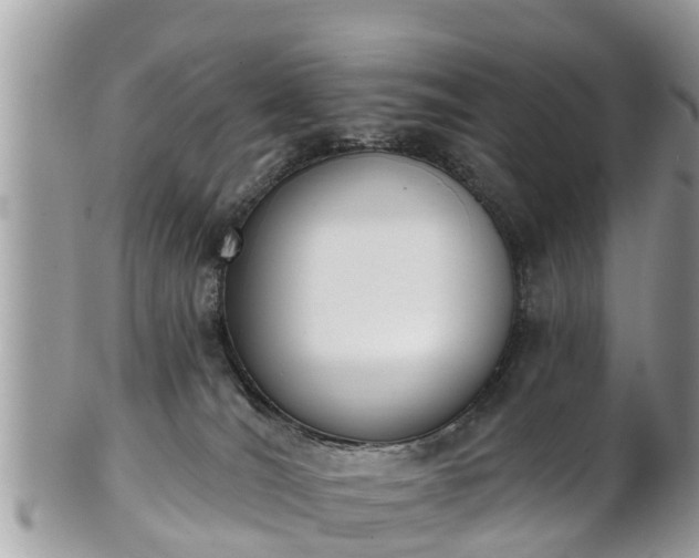 X0000101230036200807071422