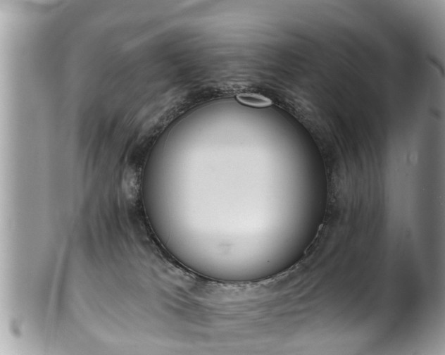 X0000101230037200807071422