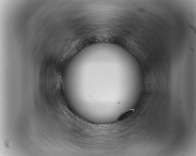 X0000101230038200807071422