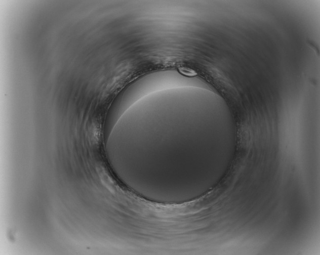 X0000101230039200807071422