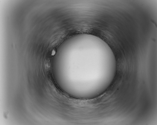 X0000101230040200807071422