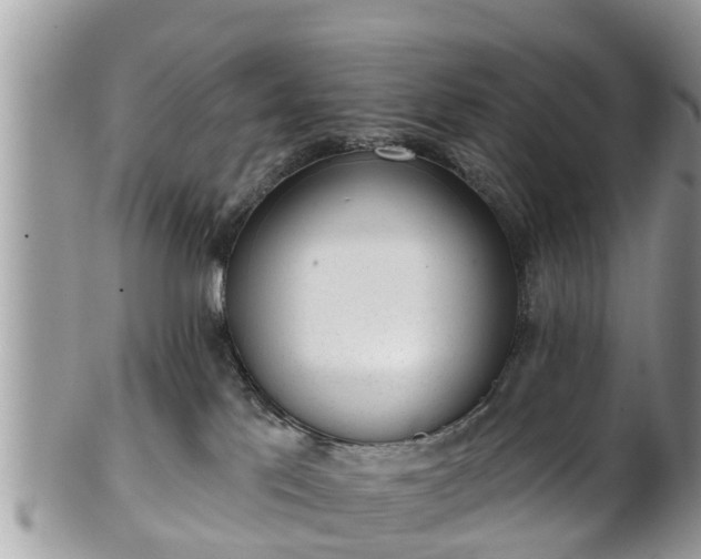 X0000101230041200807071422