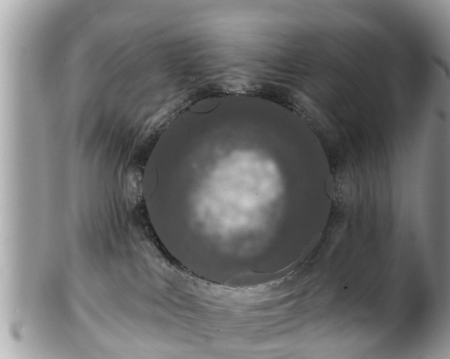 X0000101230043200807071422