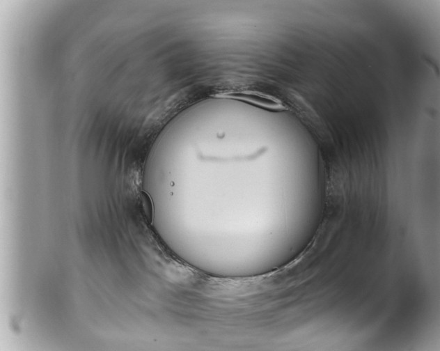 X0000101230045200807071422