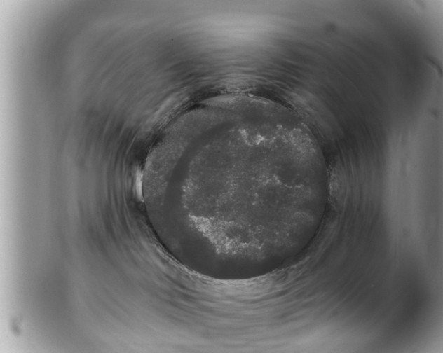 X0000101230046200807071422