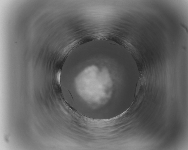 X0000101230047200807071422