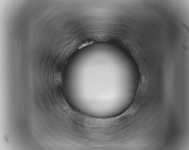 X0000101230048200807071422