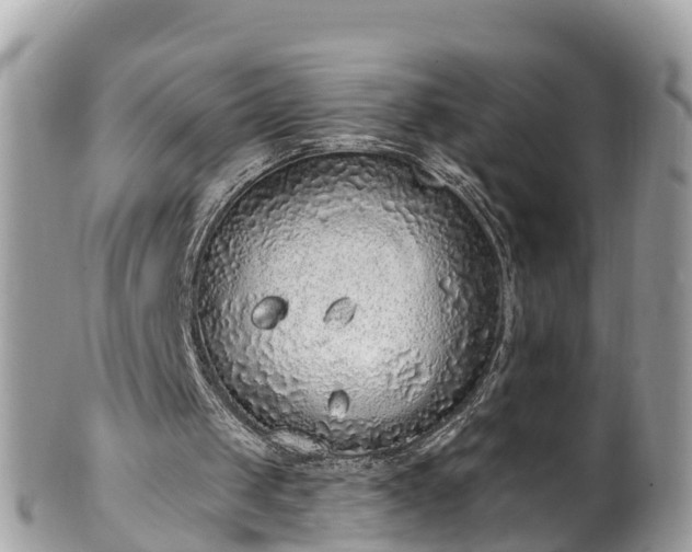 X0000101230049200807071421