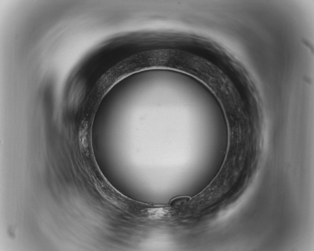 X0000101230050200807071421