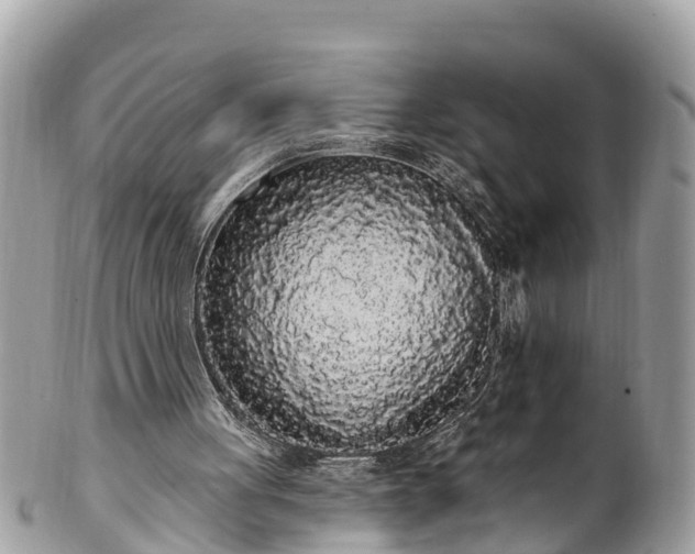 X0000101230051200807071421