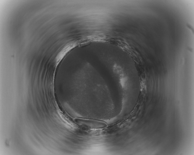 X0000101230052200807071421