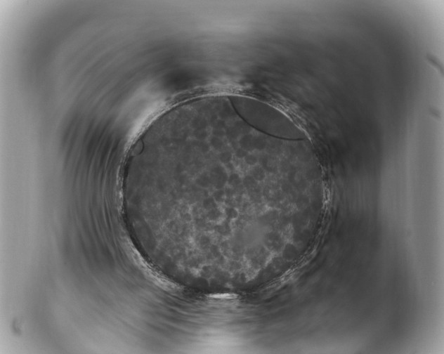 X0000101230053200807071421