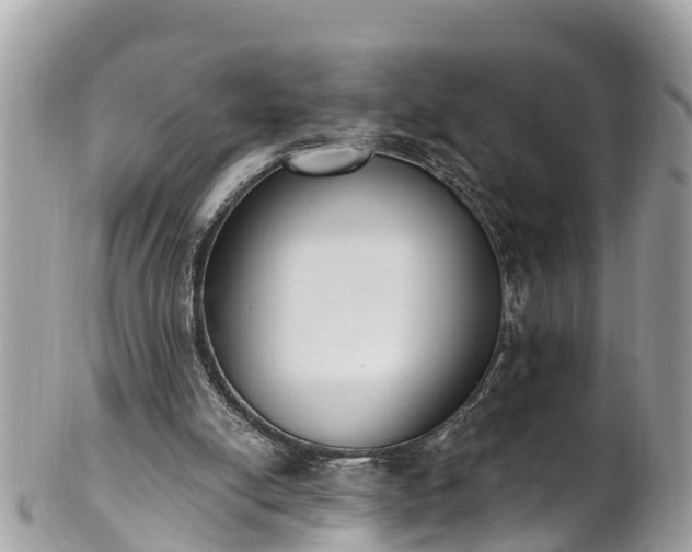 X0000101230054200807071421