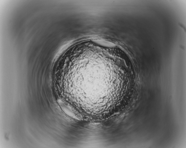 X0000101230055200807071421