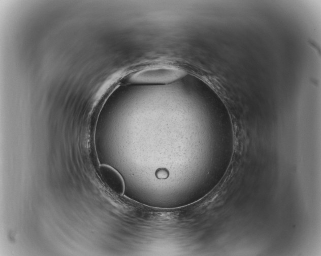 X0000101230056200807071421