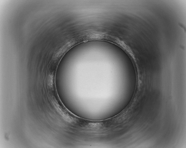 X0000101230057200807071421