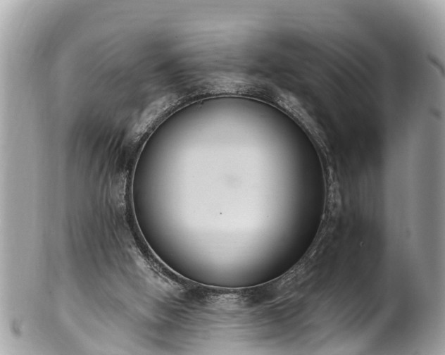 X0000101230058200807071421