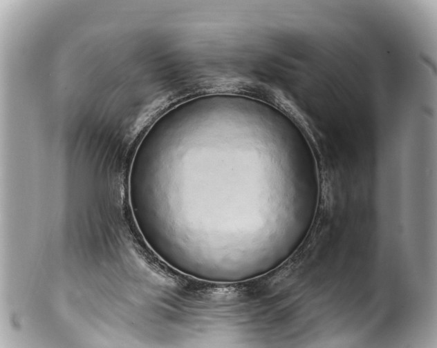 X0000101230059200807071421