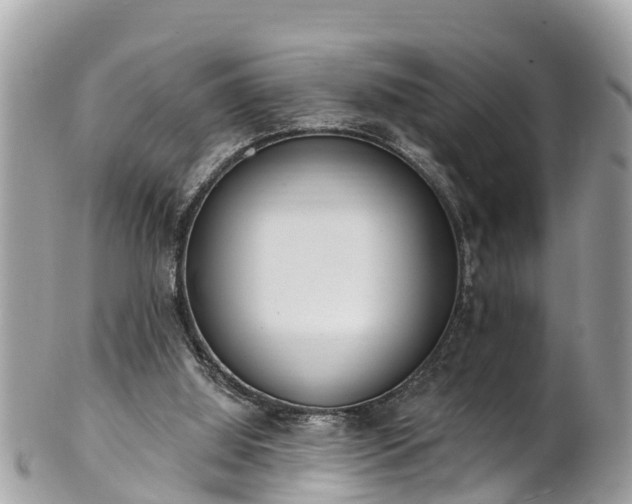 X0000101230060200807071421