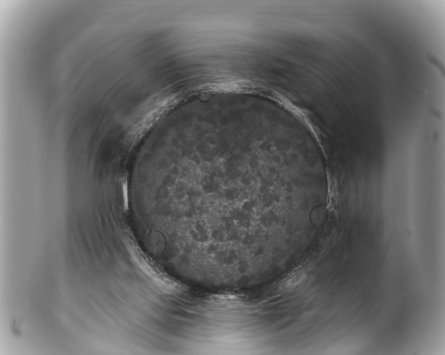 X0000101230061200807071422