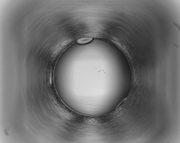 X0000101230062200807071422