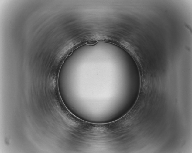 X0000101230063200807071422