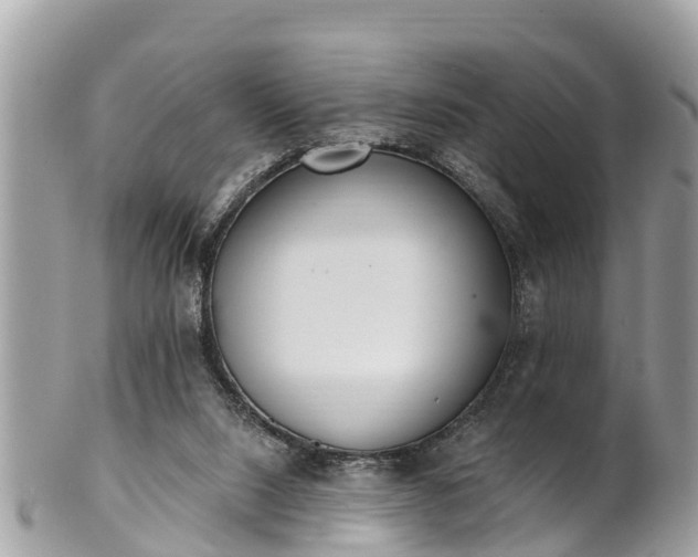 X0000101230064200807071422