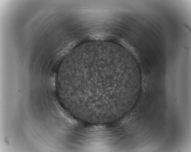 X0000101230065200807071422