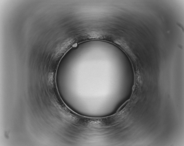 X0000101230066200807071422