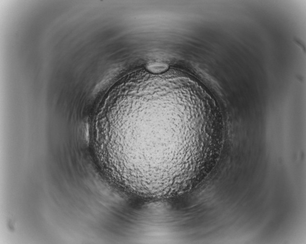 X0000101230067200807071422