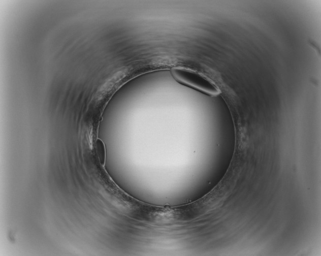 X0000101230068200807071422