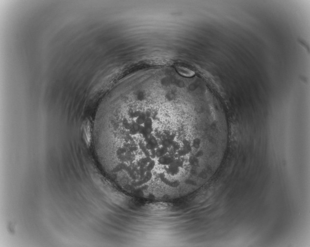 X0000101230069200807071422