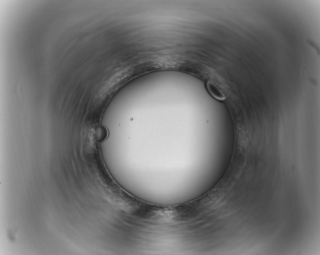 X0000101230071200807071422