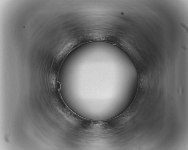 X0000101230072200807071422