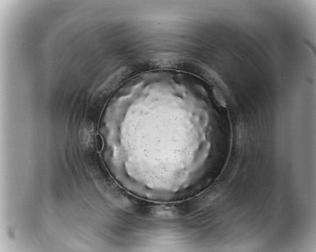 X0000101230073200807071422