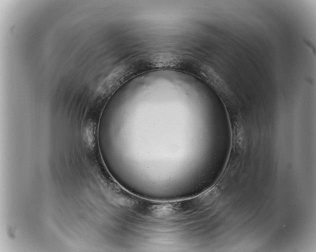 X0000101230074200807071422