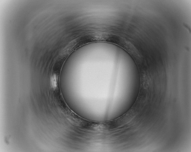 X0000101230075200807071422