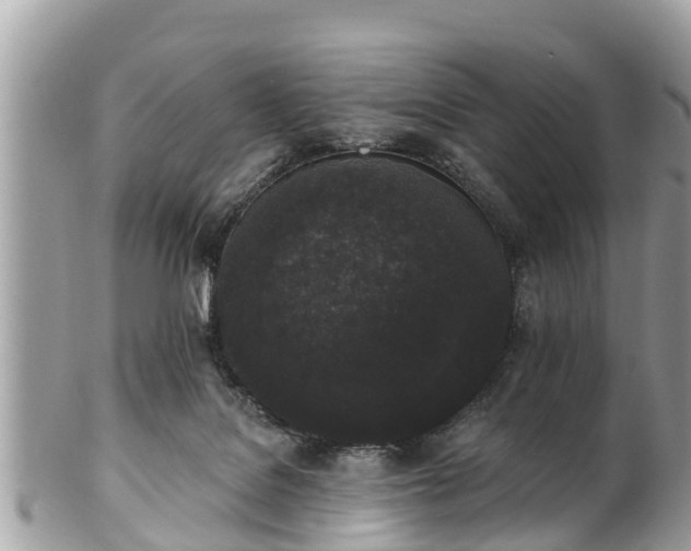 X0000101230076200807071422