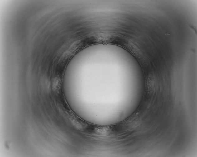 X0000101230079200807071422