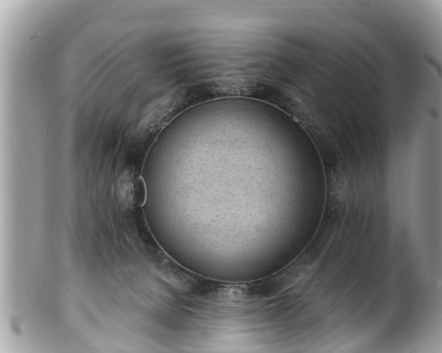 X0000101230080200807071422