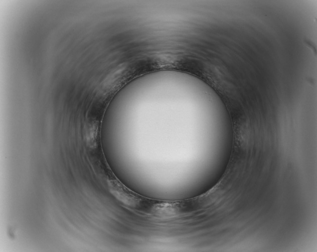 X0000101230082200807071422