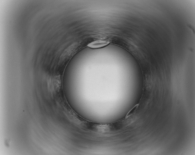 X0000101230085200807071422