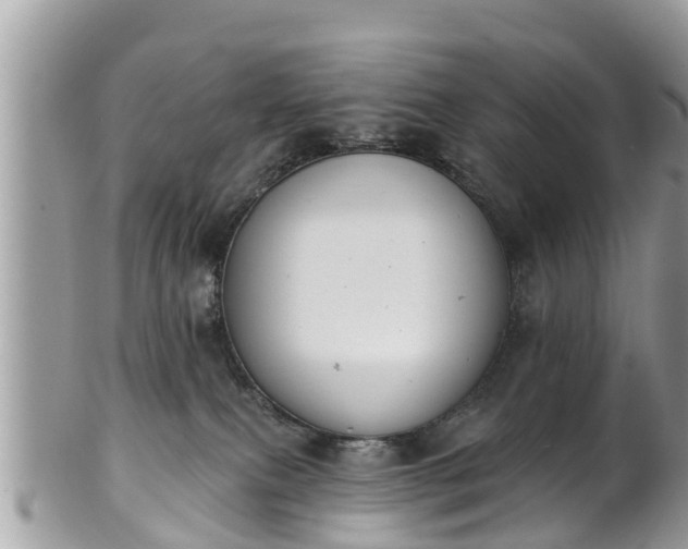 X0000101230087200807071422